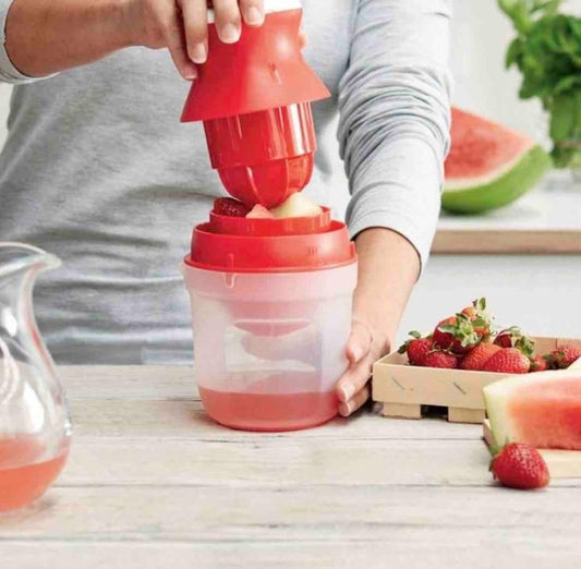 2 In 1 Mini Fruit Juicer (Pack of 1)
